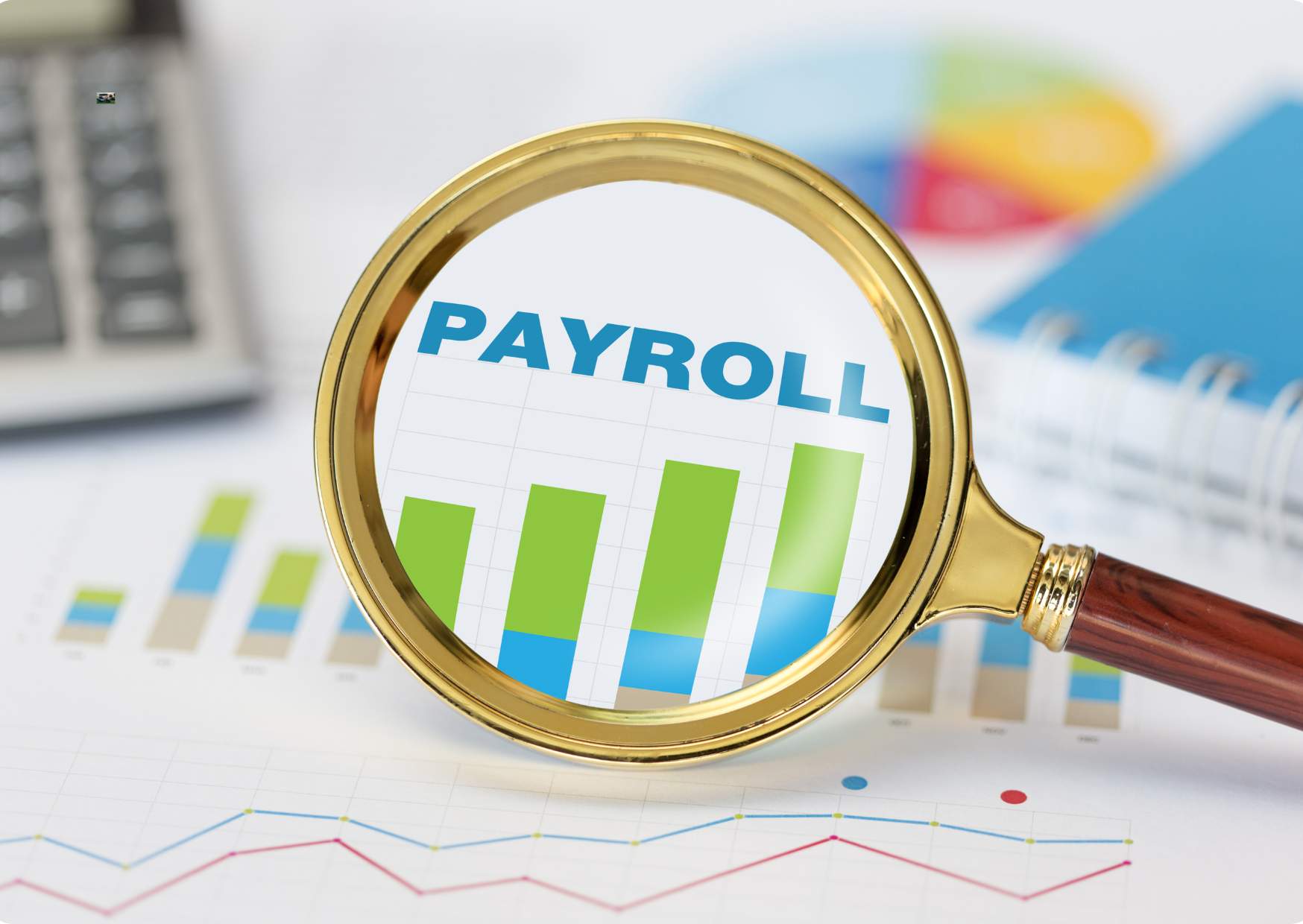 Payroll Training