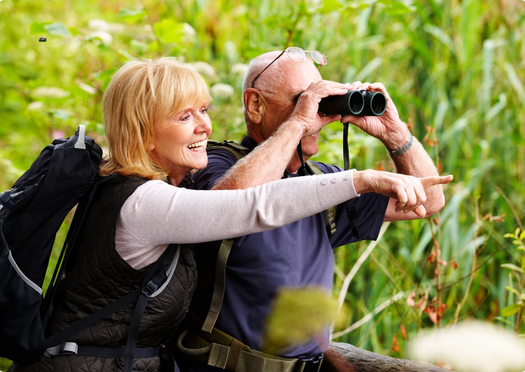 Bird Watching Training