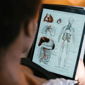 Anatomy and physiology Training Course