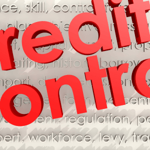 Business Credit Control