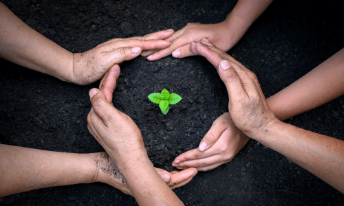 Environmental conservation Training