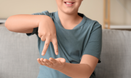 British Sign Language Level 2