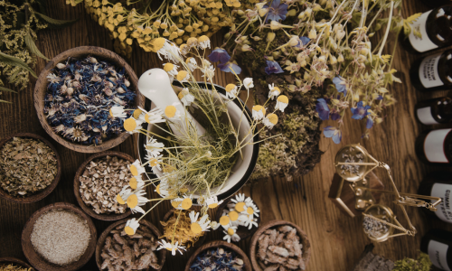 Certified Master Herbalist Online Course