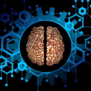 Brain Training for Future Masterminds