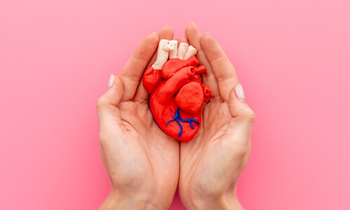 CardioWellness: Nurturing Heart Health