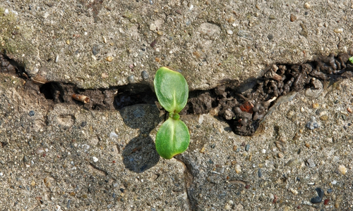 Revitalizing Resilience: Comprehensive Stress Mastery