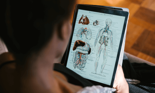 Anatomy and physiology Training Course