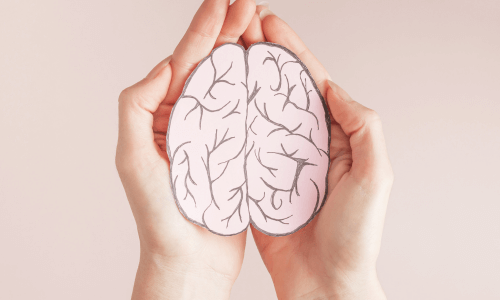 Brain Disorders Training