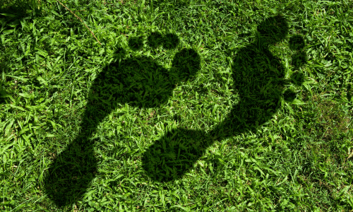 Carbon Footprint