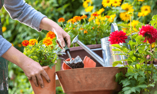 Gardening