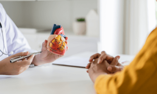 Heart Health and Physiology – Cardiology
