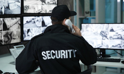 Security Officer