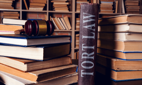 Tort Law Essentials Level 2