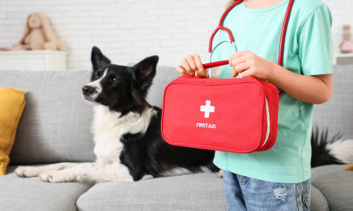 Master First Aid for Pets